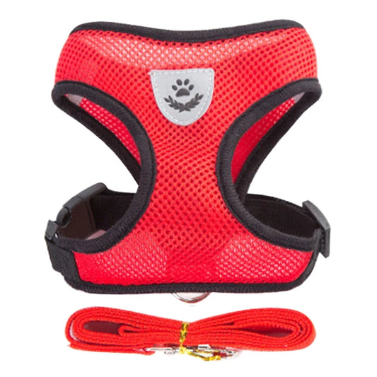 Adjustable mesh cat harness vest with leash, breathable and comfortable for safe and easy outdoor walks with your cat