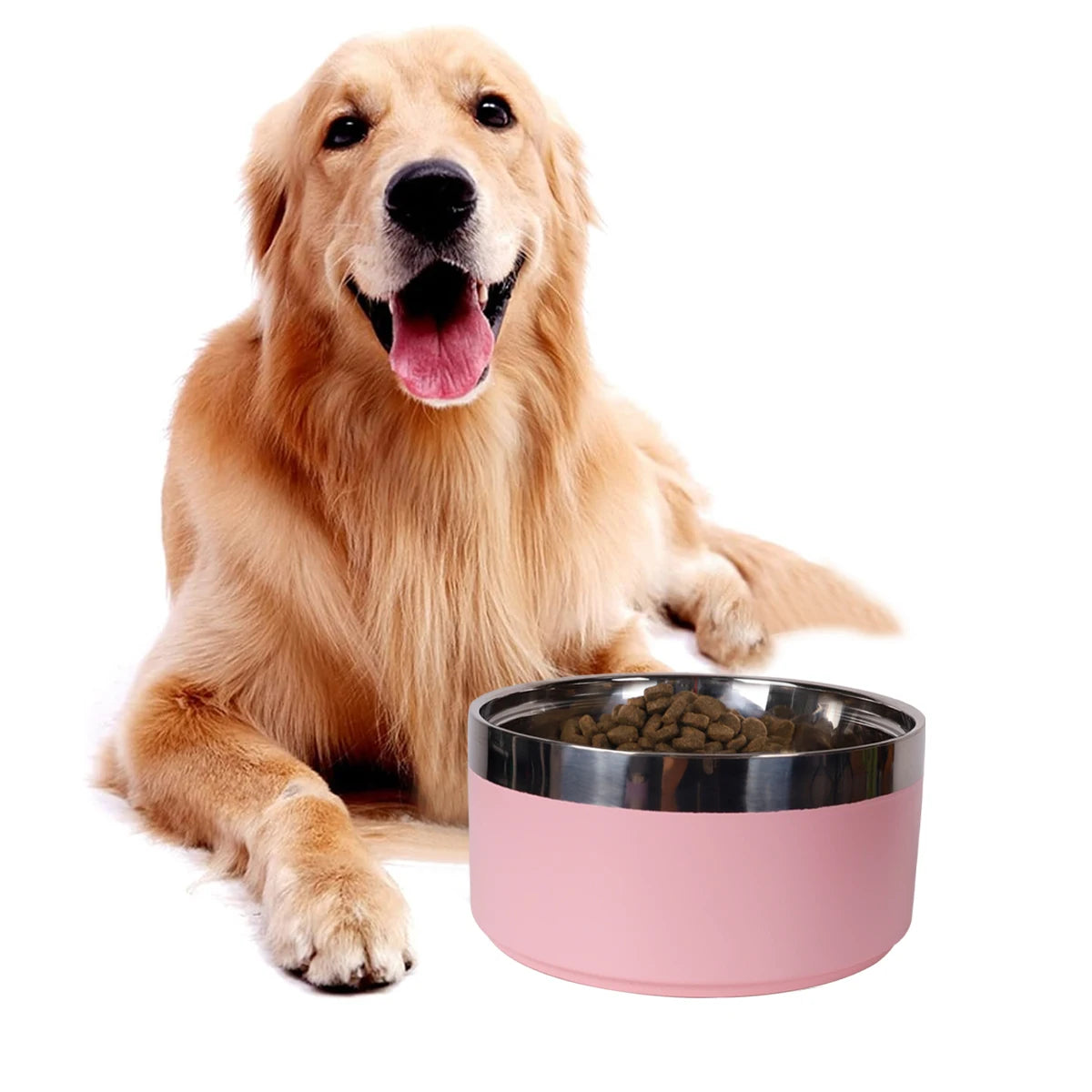 Circular stainless steel dog bowl, available in 8 vibrant colors, durable and stylish for your pet's meals