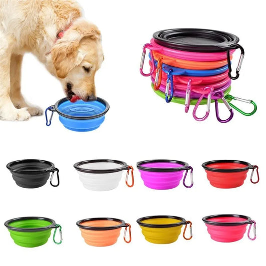 Collapsible silicone dog bowl with carabiner, perfect for on-the-go adventures with your dog, lightweight and portable