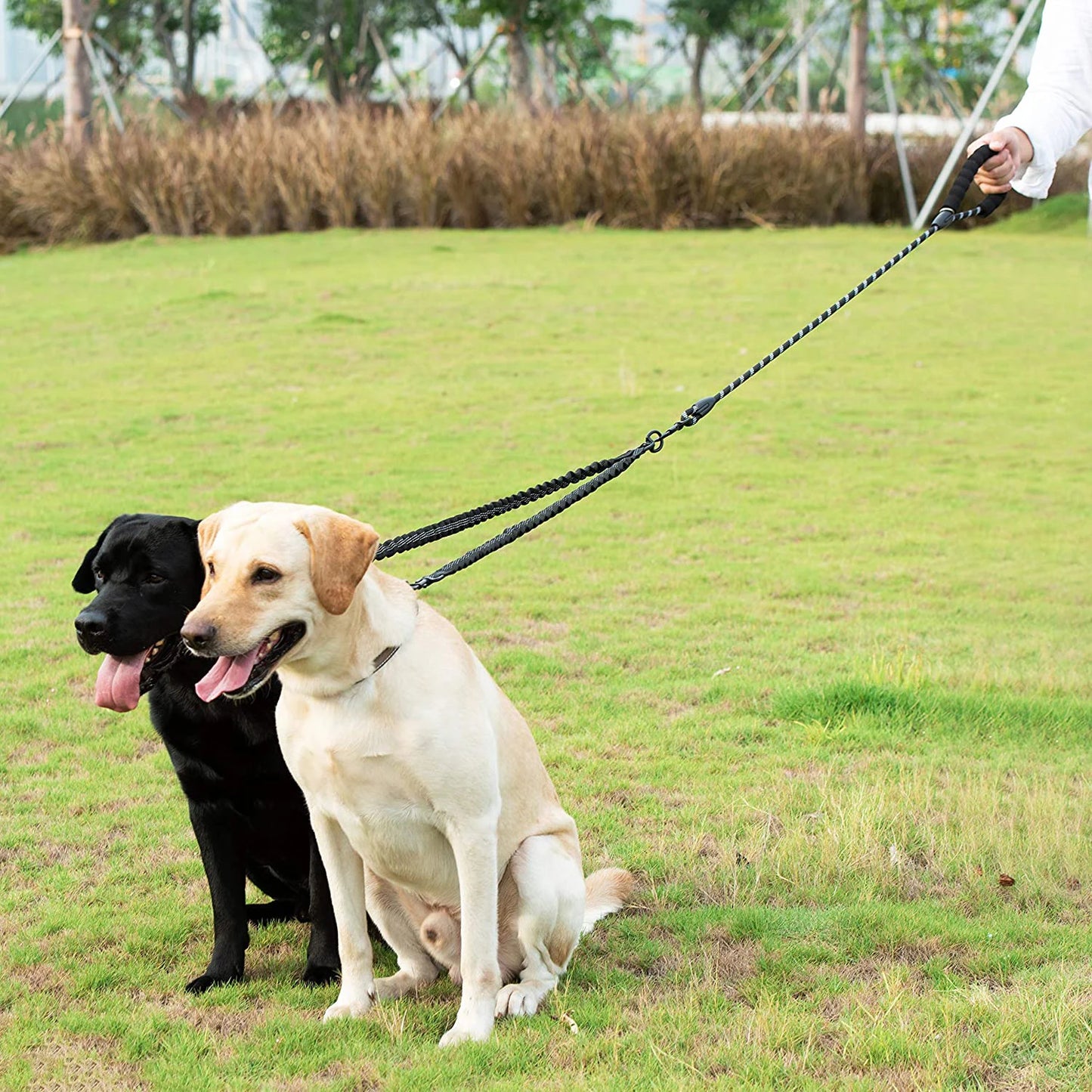 Premium Double Dog Lead - Walk 2 Dogs With Ease with this Twin Lead and Couple System - Dog and Cat Studio