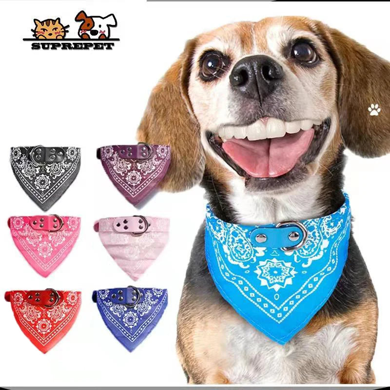 Stylish Pet Collar with Bandana for Cats and Dogs of all Sizes - Dog and Cat Studio