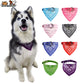 Stylish Pet Collar with Bandana for Cats and Dogs of all Sizes - Dog and Cat Studio