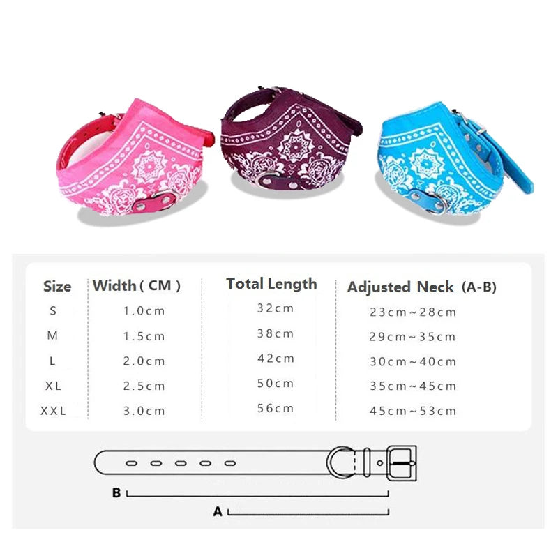 Stylish Pet Collar with Bandana for Cats and Dogs of all Sizes - Dog and Cat Studio