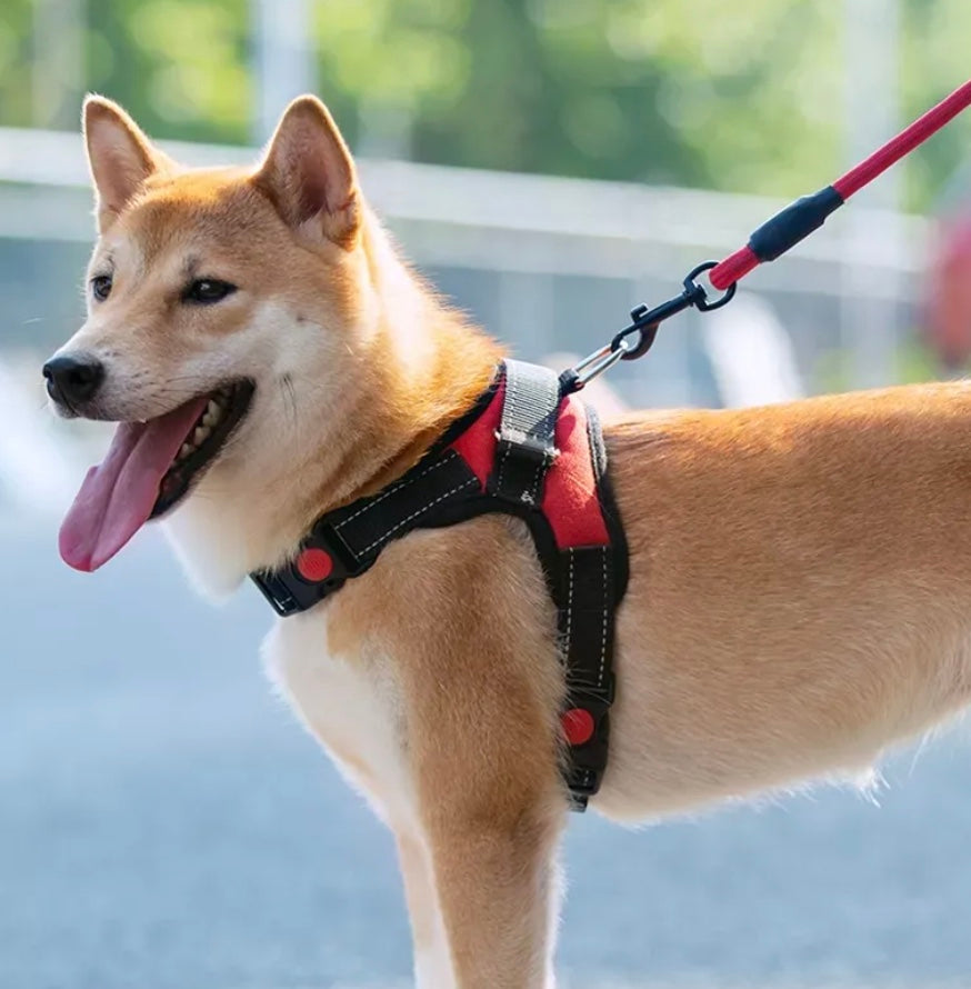 Adjustable Reflective Harness - Dog and Cat Studio