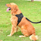 Adjustable Reflective Harness - Dog and Cat Studio