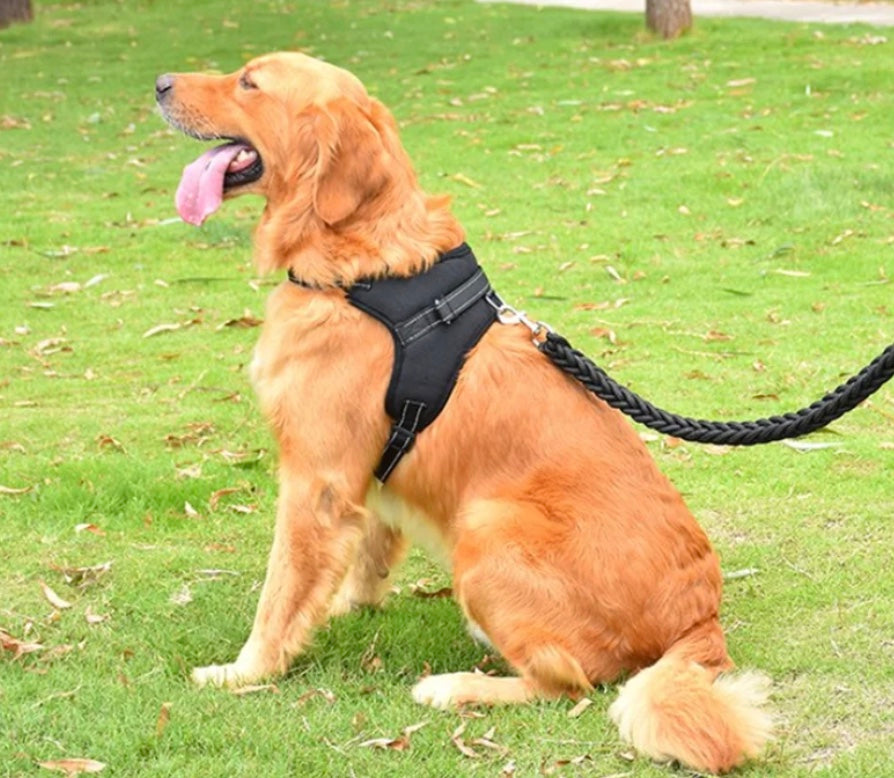 Adjustable Reflective Harness - Dog and Cat Studio