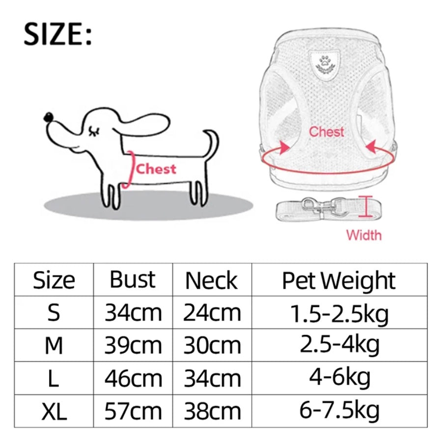 Adjustable Mesh Cat Harness Vest with Leash - Dog and Cat Studio