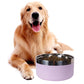 Circular stainless steel Dog Bowl with choice of 8 Striking Colours - Dog and Cat Studio