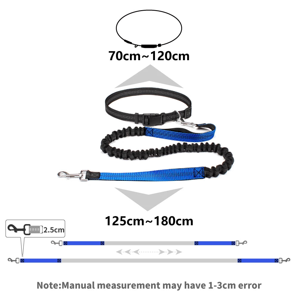 Hand Free Dog Leash - for the Active Owner! - Dog and Cat Studio