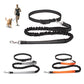 Hand Free Dog Leash - for the Active Owner! - Dog and Cat Studio