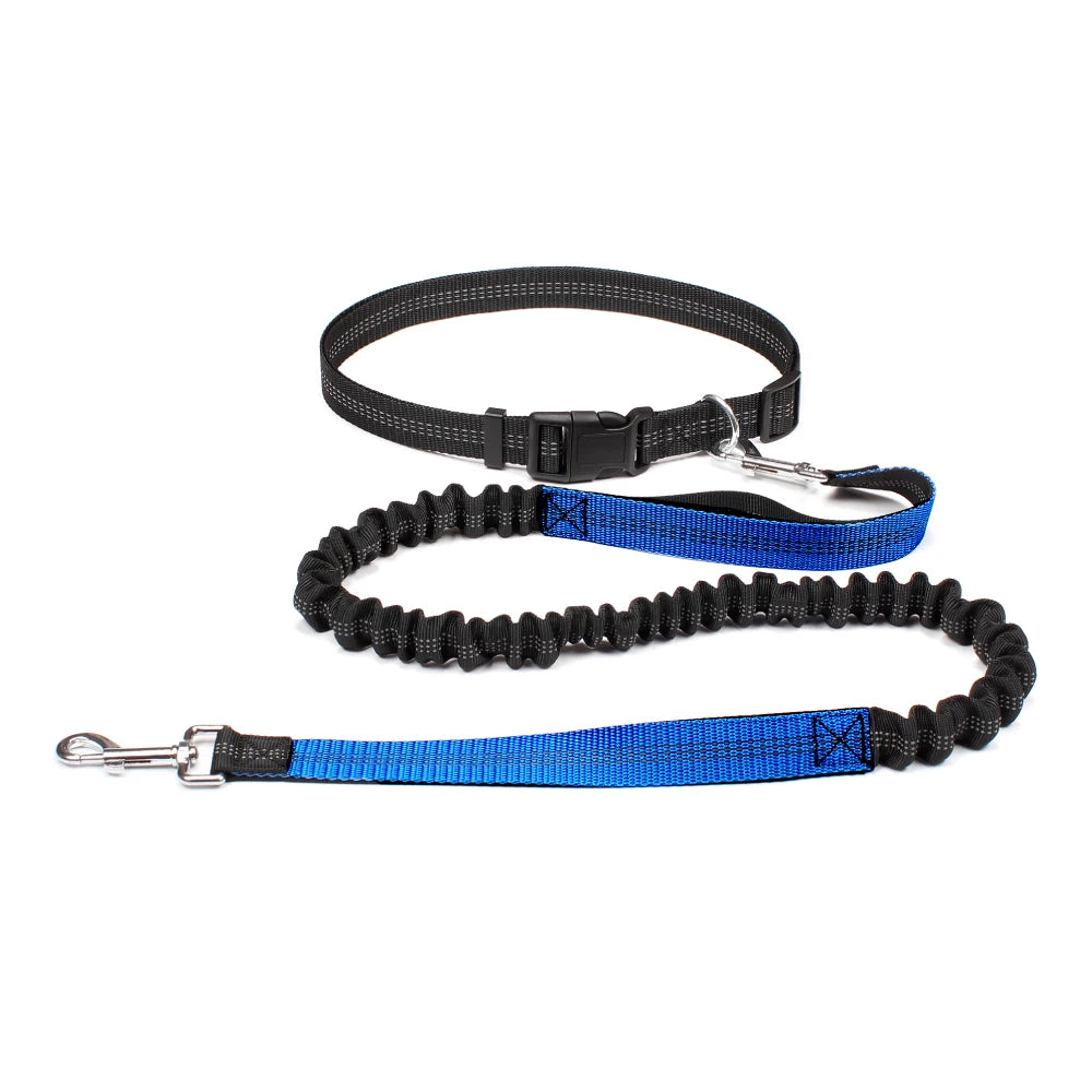 Hand Free Dog Leash - for the Active Owner! - Dog and Cat Studio