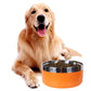 Circular stainless steel Dog Bowl with choice of 8 Striking Colours - Dog and Cat Studio