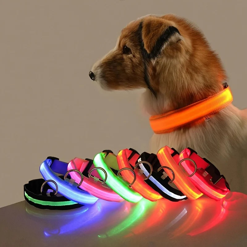 LED Lit Fluorescent Dog Collar  – Safety and Style Combined! - Dog and Cat Studio