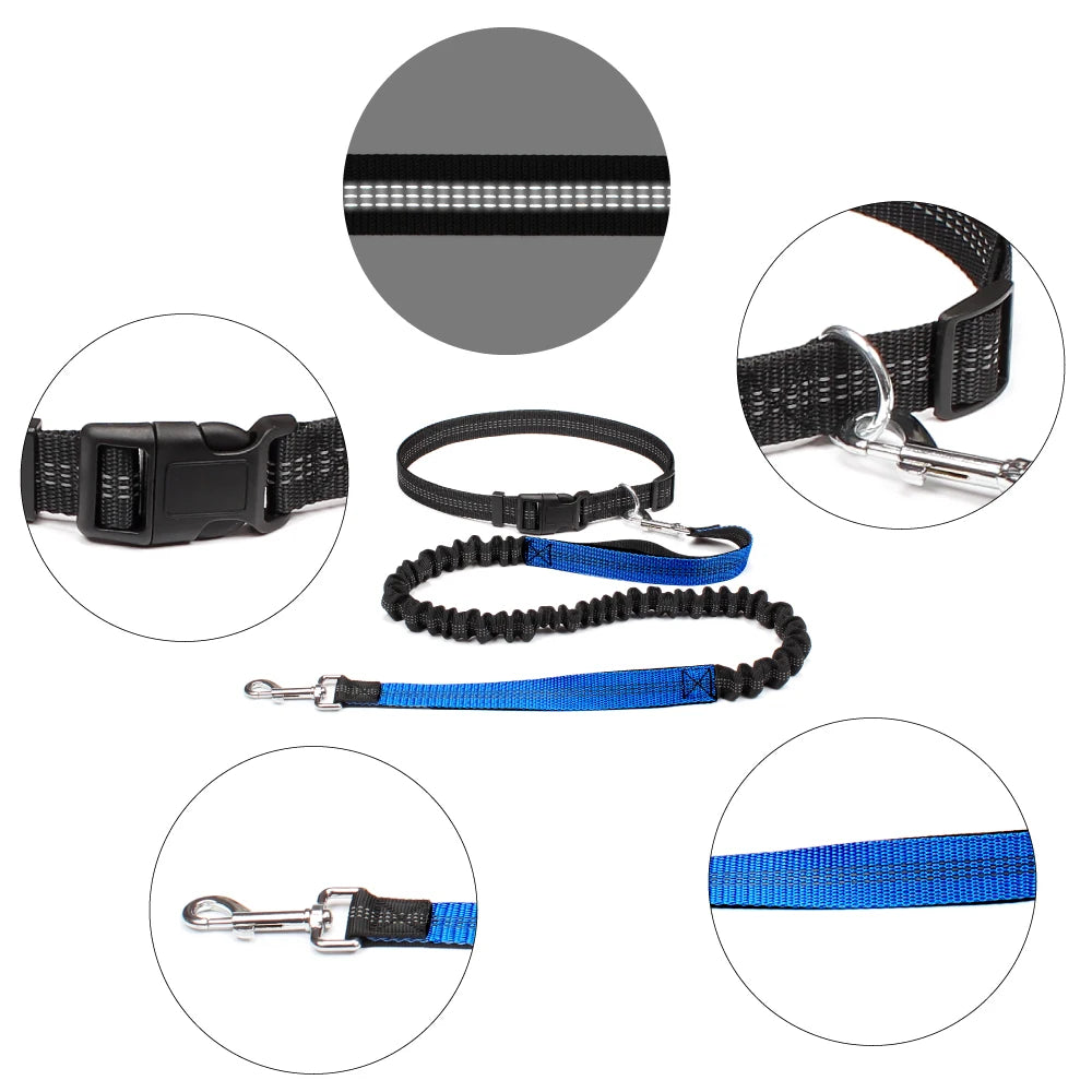 Hand Free Dog Leash - for the Active Owner! - Dog and Cat Studio