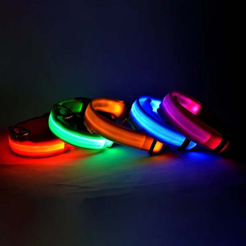 LED Lit Fluorescent Dog Collar  – Safety and Style Combined! - Dog and Cat Studio