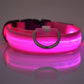 LED Lit Fluorescent Dog Collar  – Safety and Style Combined! - Dog and Cat Studio