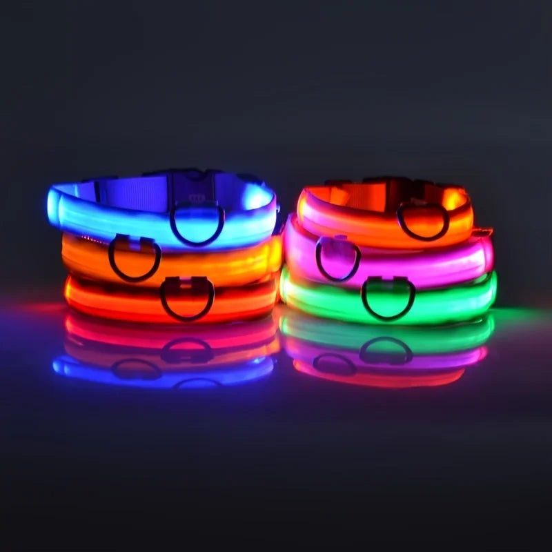 LED Lit Fluorescent Dog Collar  – Safety and Style Combined! - Dog and Cat Studio