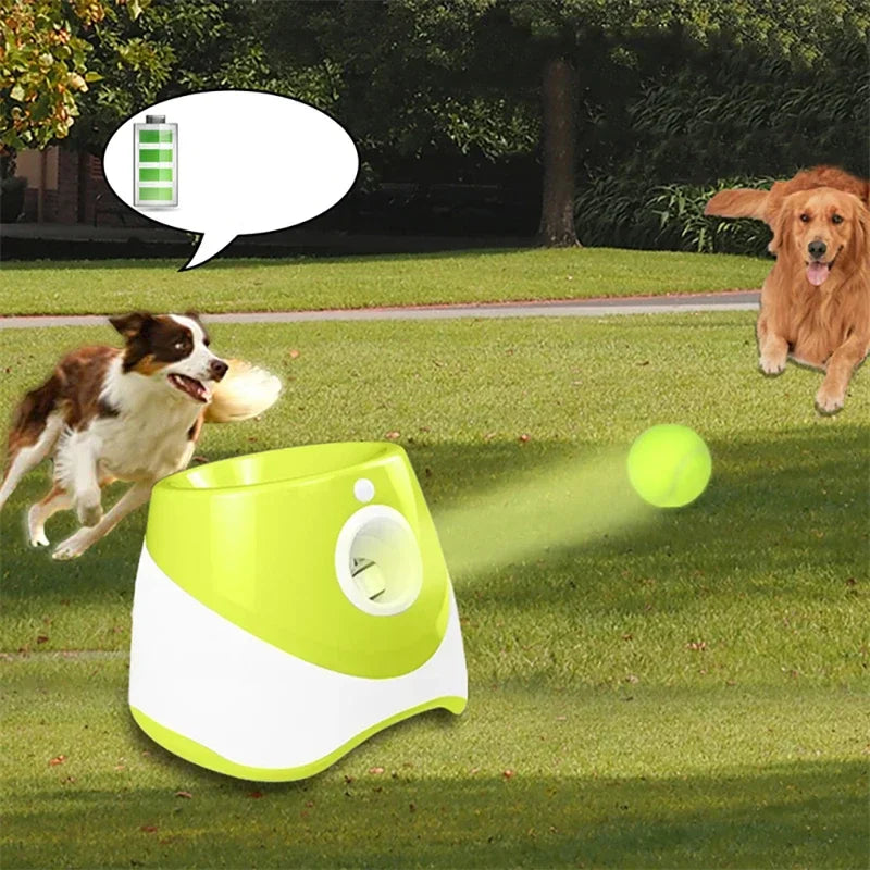 Automatic Tennis Ball Launcher - Keep your Dog happy even when you can't be there! - Dog and Cat Studio