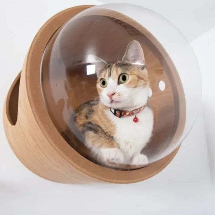 Space Capsule Cat Villa & Platforms - The Ultimate Retreat for your Feline Friend - Dog and Cat Studio