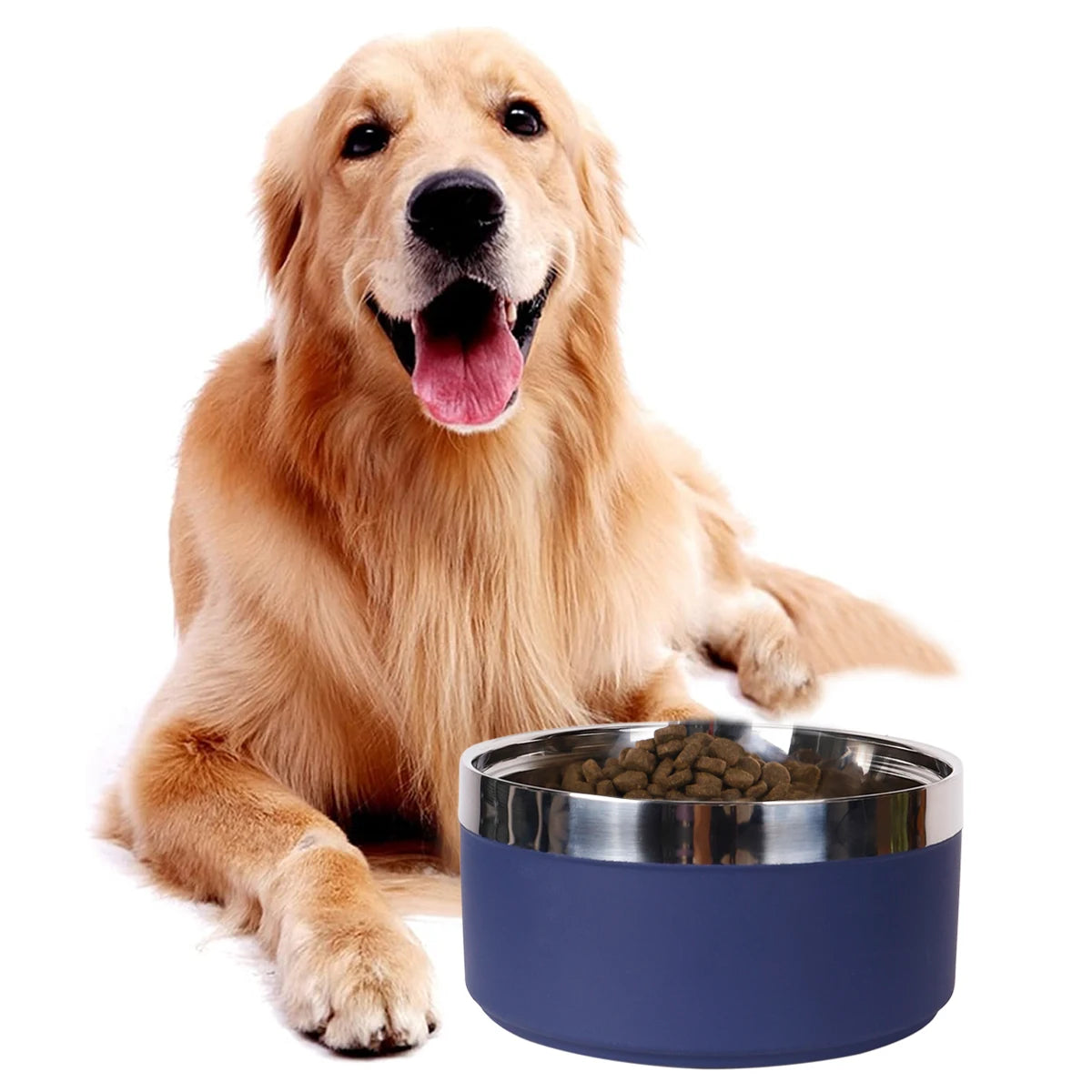 Circular stainless steel Dog Bowl with choice of 8 Striking Colours - Dog and Cat Studio