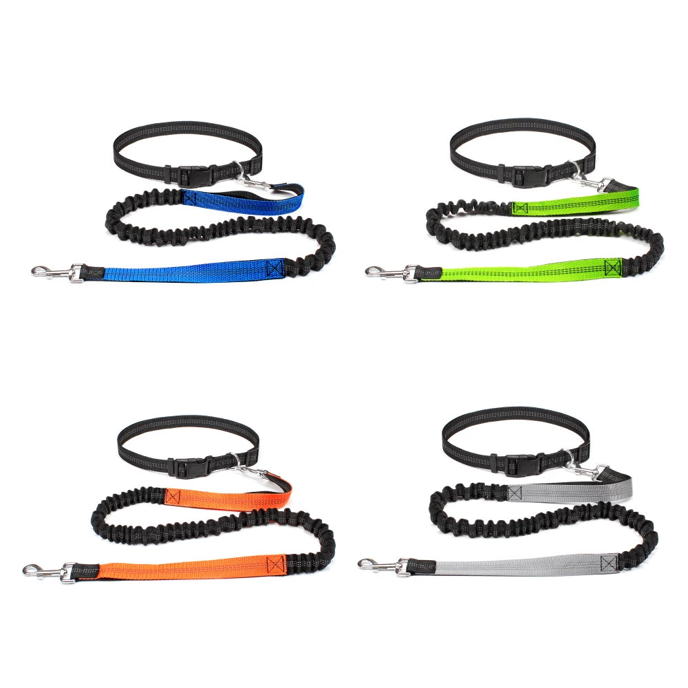 Hand Free Dog Leash - for the Active Owner! - Dog and Cat Studio