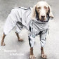 Reflective Pet Dog Jumpsuit Waterproof Raincoat Sunscreen Dog Outdoor Clothes Jacket - Dog and Cat Studio