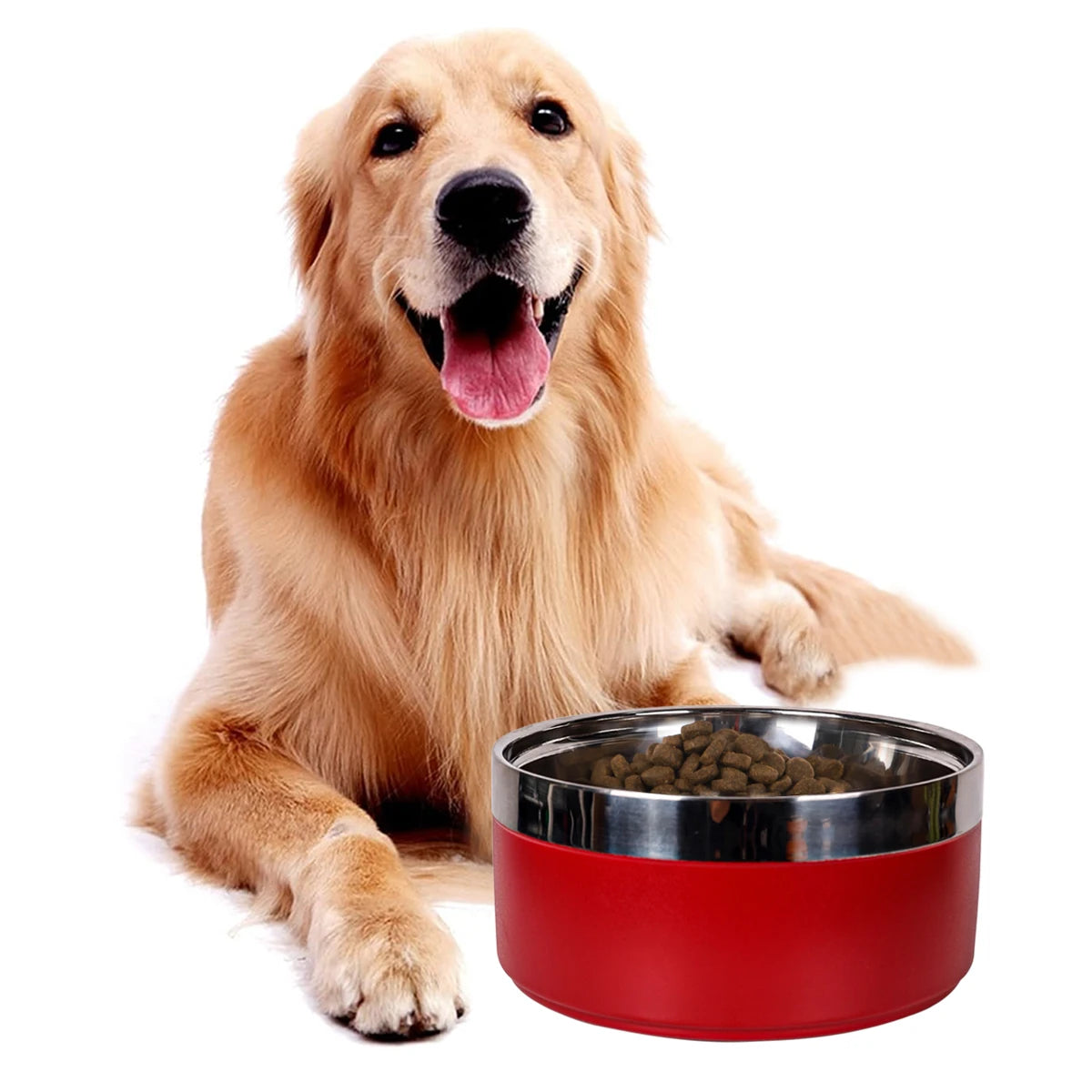 Circular stainless steel Dog Bowl with choice of 8 Striking Colours - Dog and Cat Studio